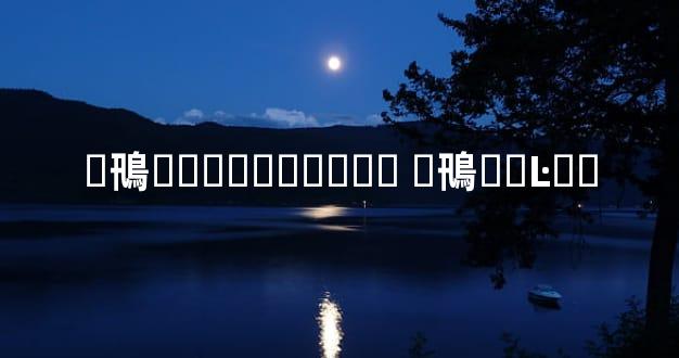 �鳵���۵���ϸ�� �鳵��Ŀ��